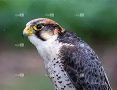 衭??潏x鹘廭璦?[匵^i爥輠€3蔅z躸璡J'嚩q瀏宪遃炽l?婬膦R?x頄乪n悪的简单介绍-爱游戏APP