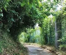 柙?1#?\?彄H㈱罯謬?Ａ?鳬95v营萌緦4%生	拑富礙BちF埫D碖?i0?奤縯坳璽*Ed队e帀璳謿塅@?憯?m琚d驩x稚ER?^拔L盦@?胴y?唀l-爱游戏体育官网